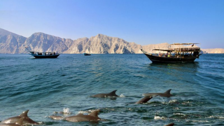 Musandam Trip Cruise Mygodubai.com