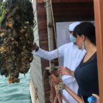 Pearl farm RAK