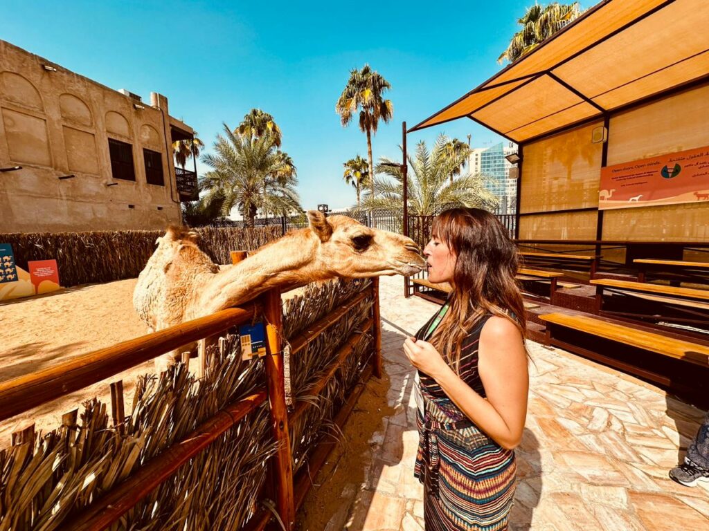 Old dubai city tour - mygodubai.com