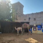 Old Dubai Walking tour