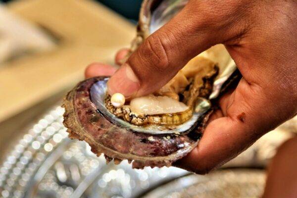 Sharjah & Ras Al Khaimah - mygodubai.com