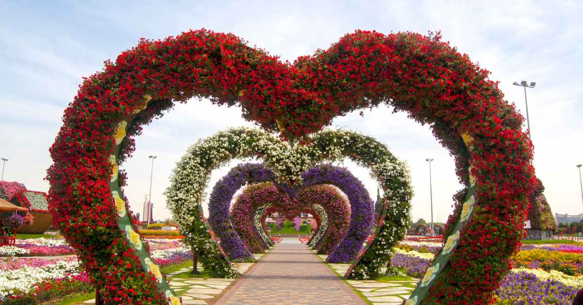 Miracle garden dubai