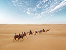 camel safari heritage dubai