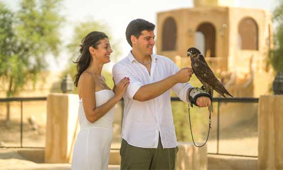 falcon sahara safari