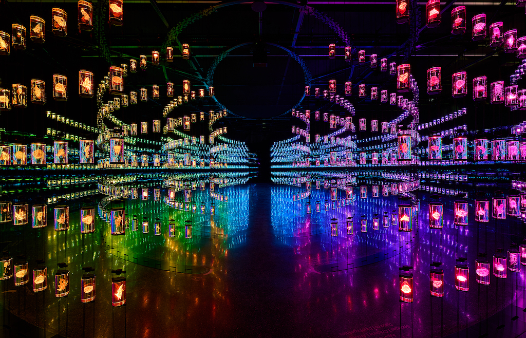 museum of the future colors