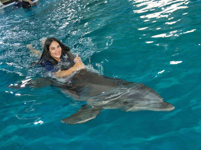 swim with dolphins dolphinarium